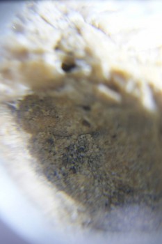 2017-02-24 07-13-22.JPG