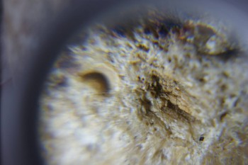 2017-02-24 07-11-06.JPG