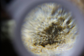 2017-02-24 07-10-22.JPG