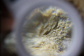 2017-02-24 07-10-00.JPG