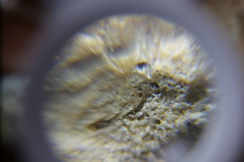 2017-02-24 07-09-48.JPG