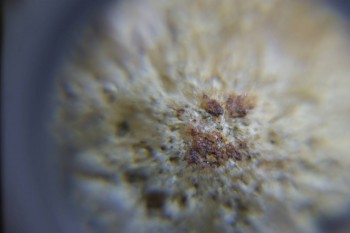 2017-02-24 07-08-52.JPG