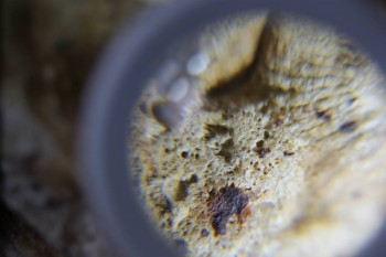 2017-02-24 07-07-08.JPG