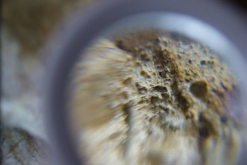 2017-02-24 07-06-36.JPG