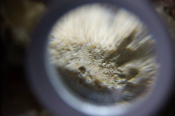 2017-02-24 07-05-56.JPG