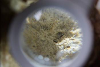 2017-02-24 07-05-30.JPG