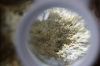 2017-02-24 07-05-22.JPG