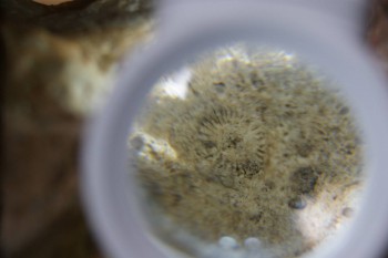 2017-02-24 07-05-14.JPG