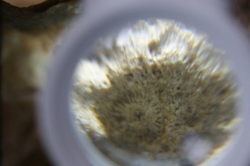 2017-02-24 07-05-06.JPG