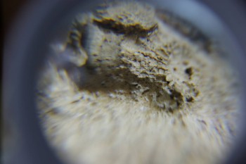 2017-02-24 07-02-38.JPG