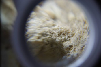 2017-02-24 07-01-06.JPG