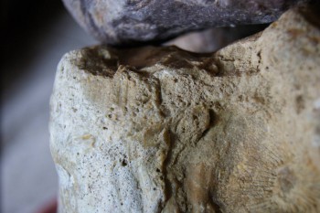 2017-02-24 06-59-16.JPG