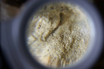 2017-02-24 06-58-52.JPG