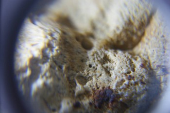 2017-02-24 06-57-56.JPG