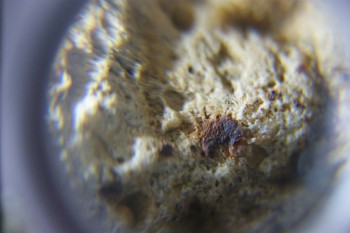 2017-02-24 06-57-48.JPG