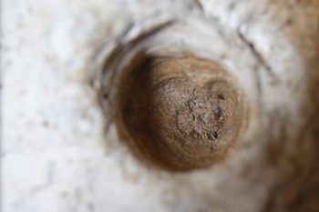 2017-02-24 06-56-52.JPG