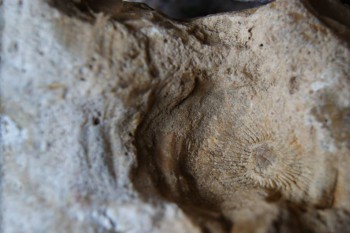 2017-02-24 06-56-42.JPG