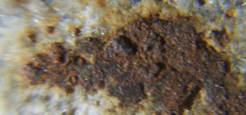 2017-02-24 03-36-02 (2).JPG