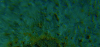 2017-02-24 03-36-02 (3).JPG