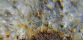 2017-02-24 03-36-02 (4).JPG