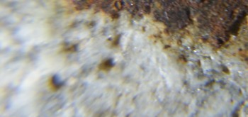 2017-02-24 03-36-02 (5).JPG