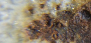 2017-02-24 03-36-02 (6).JPG