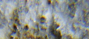 2017-02-24 03-36-22 (3).JPG