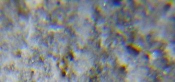 2017-02-24 03-36-22 (4).JPG