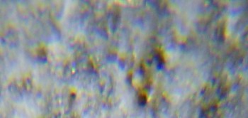 2017-02-24 03-36-22 (5).JPG