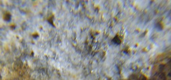 2017-02-24 03-36-50 (5).JPG