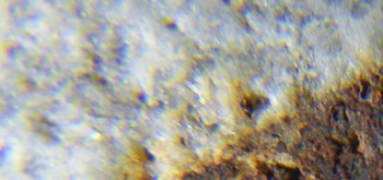 2017-02-24 03-36-22 (6).JPG