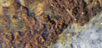 2017-02-24 03-36-22 (7).JPG