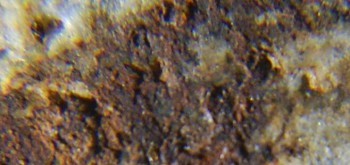 2017-02-24 03-36-22 (8).JPG