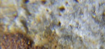 2017-02-24 03-36-50 (4).JPG