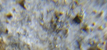 2017-02-24 03-36-50 (6).JPG