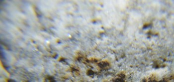 2017-02-24 03-37-30 (7).JPG