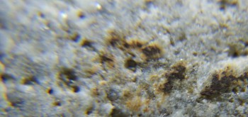 2017-02-24 03-37-30 (2).JPG