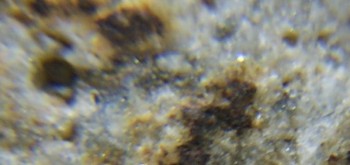 2017-02-24 03-37-30 (3).JPG