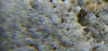 2017-02-24 03-37-30 (4).JPG