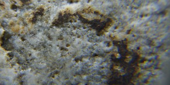 2017-02-24 03-37-30 (9).JPG