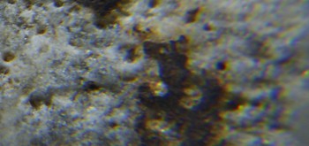 2017-02-24 03-37-30 (10).JPG