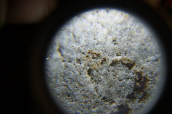 2017-02-24 03-37-30.JPG