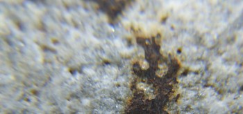 2017-02-24 03-37-50 (2).JPG