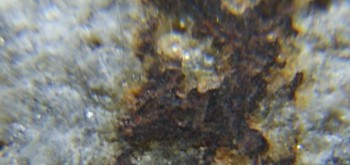 2017-02-24 03-37-50 (3).JPG