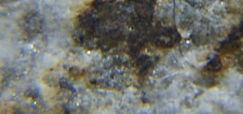 2017-02-24 03-37-50 (5).JPG