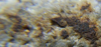 2017-02-24 03-39-04 (2).JPG