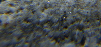 2017-02-24 03-39-04 (5).JPG