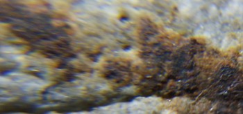 2017-02-24 03-39-10 (2).JPG