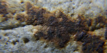 2017-02-24 03-39-10 (3).JPG