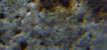 2017-02-24 03-39-10 (7).JPG